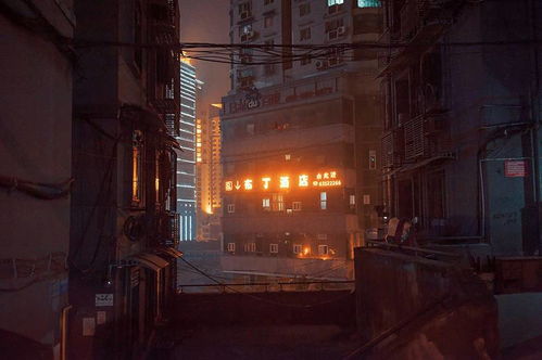 一、 夜色下的迷茫