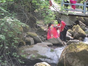 饮食黑幕：抢钱还难吃