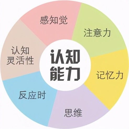 日支与配偶的关系（别太认真！）