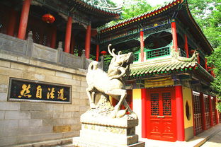 玉泉院：呵呵呵呵呵