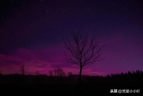 水瓶座的惊天秘密！