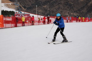 ：冰灯到底是个啥玩意儿