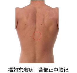 脖子上那些神秘的小黑点，藏着惊天大秘密！