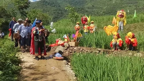 再说说西南吧！