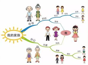 侄女与姓氏的关系