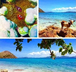 科隆潜水差点要了老命