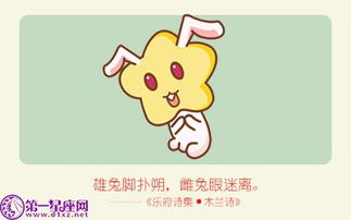 2025年兔兔预警