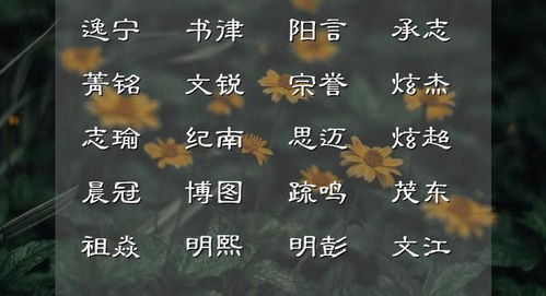 论语中哪些单字霸气且适合作为男孩名字？