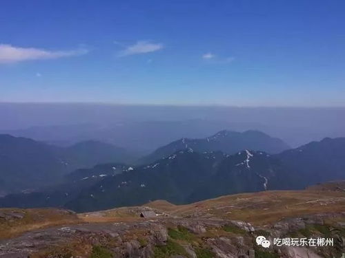 一、 仪陇概况——地理、气候、历史（随手抄的那种）