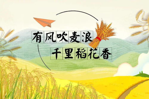 科学解释不了=风水很灵？