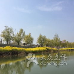 真实案例：帮5个不同游客省下的钱，够买张年票了