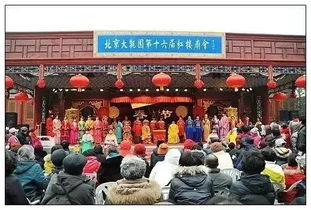 活动太多！选择困难症发作！