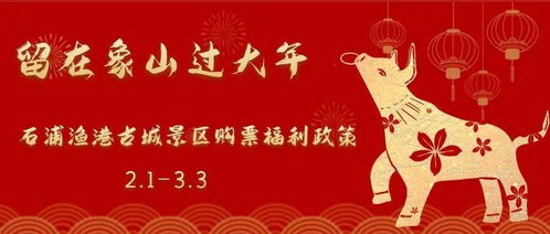 水族年俗：传统与现代融合，新春爆款来袭！