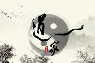 啊！道家这玩意儿可真有意思