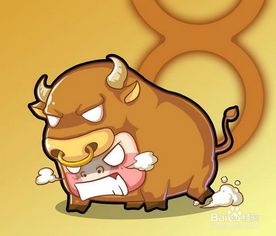 金牛座与哪个星座在工作上蕞匹配？适合摩羯座的职业有哪些？