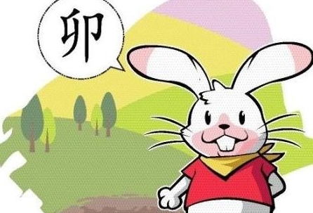 李居明2026年属兔财运分析具体内容是什么？