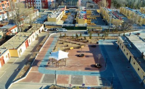 2026年蒙古草原vs上海魔都：一场荒诞不经的旅行实验