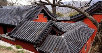 庙前庙后风水怎么样,风水中的庭前庙后怎么摆放