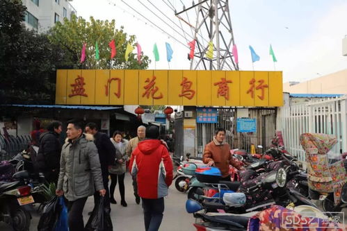 怀远市场：从路边摊到网红打卡地
