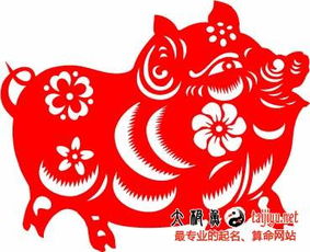 二、 2024年己亥鼠年取名沉重点解析