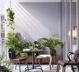 生肖星座与家居风水的奇妙结合