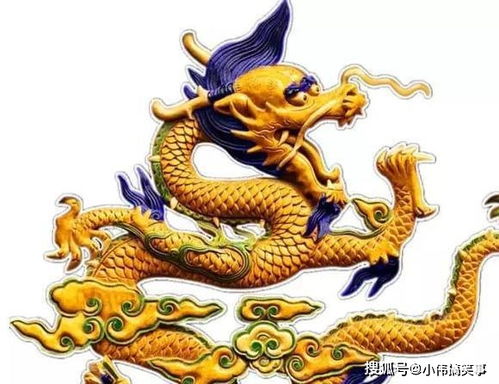 属龙女和属马男合财运吗？属龙女佩戴驱邪避煞物件有何寓意？