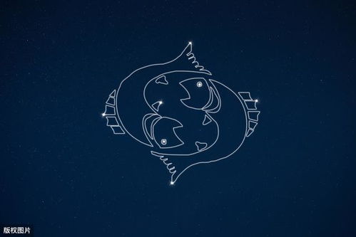 属猪巨蟹座2026年爱情运势如何？天蝎座属猪人2026年运势怎样？