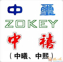 单氏集团图片中，有没有展示单氏起名的独特设计理念？