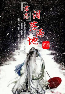 孟拱那边儿的故事