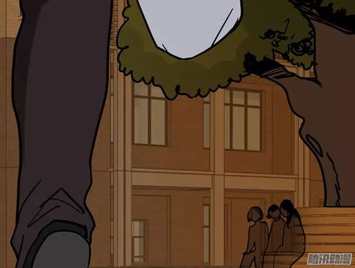 生肖与镜子的秘密