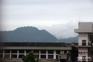雨后幽径的奇怪气场