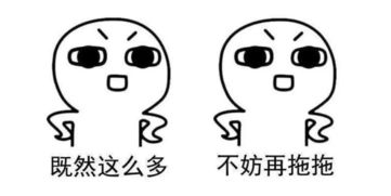八字中不开心和不透分别指什么？