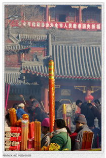 扫墓祭祖：传统方式礼仪还是负担？