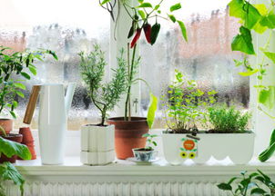 等等... 顺便说一句... 惯与材质