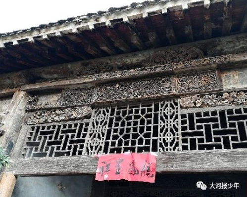 情感色彩——那一些温柔而又坚定的话语