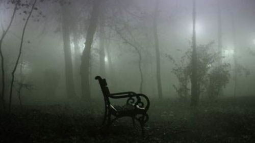 生肖与星座：阴阳相冲还是相合？