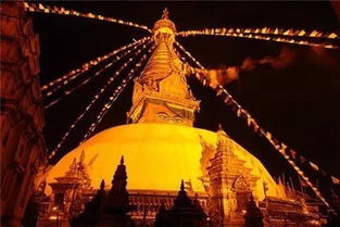 【魔幻现实】在奇特旺和大象蹦迪！