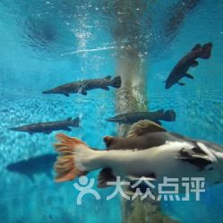 海洋世界——坐上潜艇去冒险
