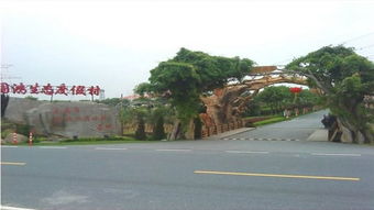 实用建议与注意事项