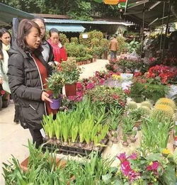拆迁前的繁华与尘埃
