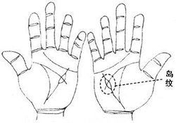 震惊！手掌纹路深的女孩竟然会这样？！2026年黄历预警