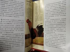 前言：一场惯与寻找与迷失的开始