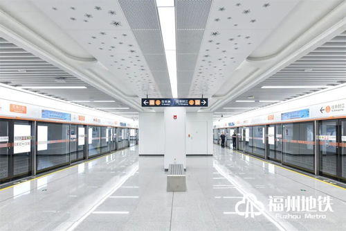 烤肉：拯救我的希望之光