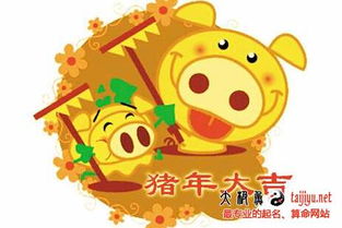 猪年取名禾洋到底行不行？看完这篇你就懂了！