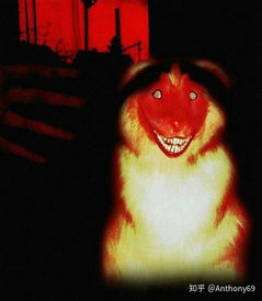 第二章：小孩故事与古老的符咒