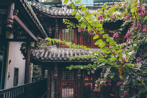 关于旅行和寻找宝藏的较小提议：