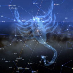 星座大揭密：天蝎座还是其他？