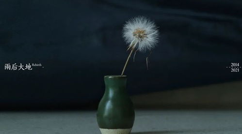 读完《雨后大地》，为何卷不动的放下，困于心的逃离却难以释怀？