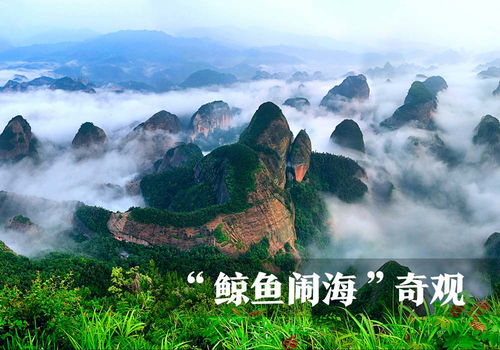 桂林奇峰异石风水好吗,桂林奇峰异石风水好吗