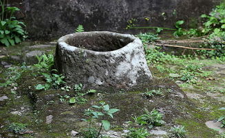 风水视角下的古井：阴阳失衡还是阴阳调和？